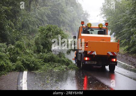 Thale, Allemagne. 23rd juin 2023. Un arbre se trouve sur une route à Thale. Le lendemain de la tempête, le travail de nettoyage est en plein essor. En particulier dans le district de Harz, plusieurs endroits comme Thale ont été directement touchés par la tempête. Credit: Matthias Bein/dpa/Alay Live News Banque D'Images