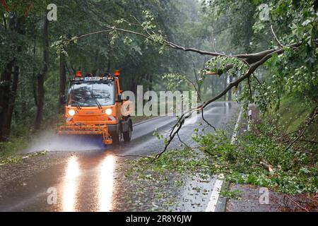 Thale, Allemagne. 23rd juin 2023. Un arbre se trouve sur une route à Thale. Le lendemain de la tempête, le travail de nettoyage est en plein essor. En particulier dans le district de Harz, plusieurs endroits comme Thale ont été directement touchés par la tempête. Credit: Matthias Bein/dpa/Alay Live News Banque D'Images