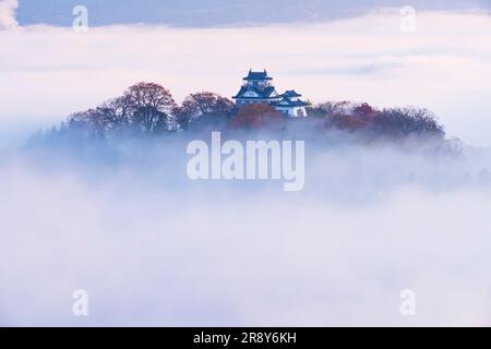 Château Echizen Ono et Mer des nuages en automne Banque D'Images