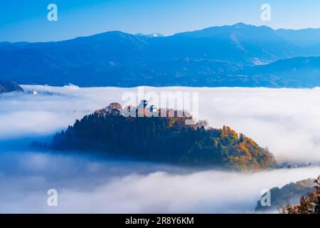 Château Echizen Ono et Mer des nuages en automne Banque D'Images