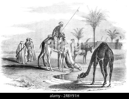 Village aux frontières du désert, 1857. 'La jupe du désert vient d'être atteinte: C'est le dernier village permanent ou abri de toute sorte à être rencontré pour beaucoup de voyage d'une journée... les chameaux, après avoir dévoré leur petit bol de farine et d'avoine, ont soif dans un petit lac à une centaine de mètres des murs extérieurs du village - dont les dômes, les minarets et les bâtiments qui donnent sur les ruches deviennent perceptibles dans la lumière grise du matin; Ils boivent long et profond, ces "navires du désert", en dépôt pour beaucoup d'une heure chaude de voyage; pour Pr Banque D'Images