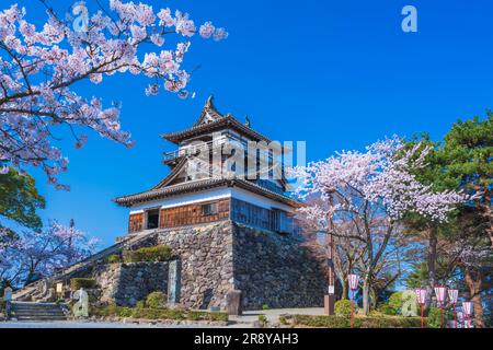 Château de Maruoka et cerisiers en fleurs Banque D'Images
