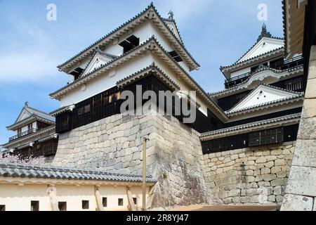 Château de Matsuyama Banque D'Images