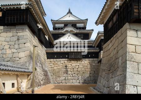 Château de Matsuyama Banque D'Images