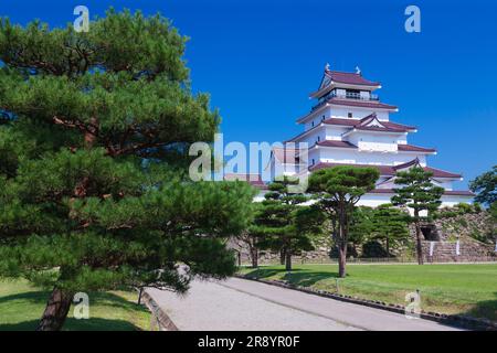 Château de Wakamatsu Banque D'Images