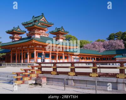 Pleurer des cerisiers au sanctuaire de Heian Jingu Banque D'Images