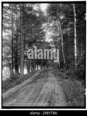 Le long de la rive, lac Dunmore, Green Mountains, entre 1900 et 1906. Banque D'Images