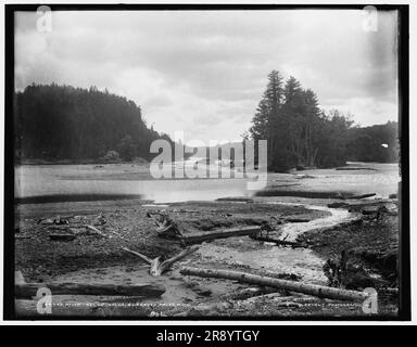 Rivière au-dessous des chutes, Quinnesec [sic] Falls, Michigan, entre 1880 et 1899. Banque D'Images