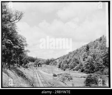 Au nord, au-dessus de Gasset, c'est-à-dire Gassetts, Vt., entre 1900 et 1906. Banque D'Images