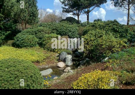 Jardin ornemental, jardin aquatique, parc de jardin, Rain am Lech, Bavière Banque D'Images