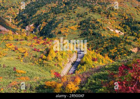 Ligne d'amalgré de Hachimantai dans les feuilles d'automne Banque D'Images