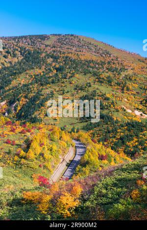 Ligne d'amalgré de Hachimantai dans les feuilles d'automne Banque D'Images