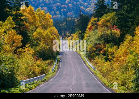 Hachimantai Jukai Line dans les feuilles d'automne Banque D'Images