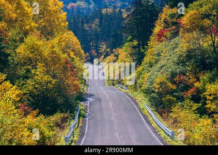 Hachimantai Jukai Line dans les feuilles d'automne Banque D'Images