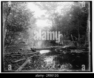 Piscine de Wiscasset, Mt. Pocono, Pennsylvanie, entre 1890 et 1901. Banque D'Images