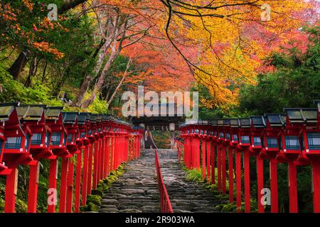 Sanctuaire Kibune dans les feuilles d'automne Banque D'Images