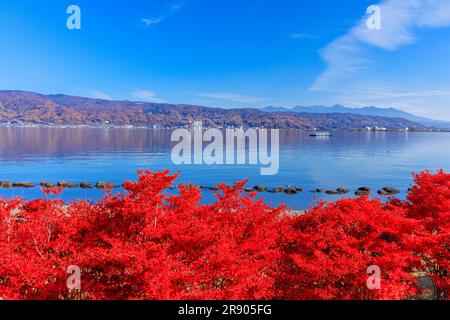 Lac Suwa et Mt. Yatsugatake en couleur d'automne Banque D'Images