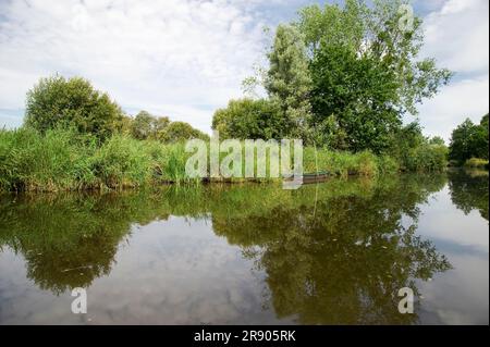 Ile de Feudrine, Grande, Parc naturel régional de Briere, Convention de Ramsar pour la protection des zones humides, Loire Atlantique, pays de Loire, France Banque D'Images