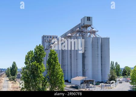 Seatlle, WA, USA-juillet 2022; vue d'un grand complexe d'élévateurs à grain près des installations ferroviaires et portuaires pour l'exportation depuis la rive nord-est des États-Unis Banque D'Images