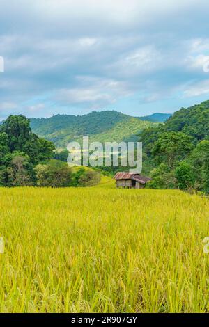 Paysage pittoresque de la campagne du nord de la Thaïlande Banque D'Images