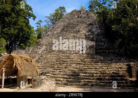 Stèle, devant les ruines mayas de Coba, Caribe, Quintana Roo, Riviera Maya, Yucatan, Mexique, Yucatan Banque D'Images