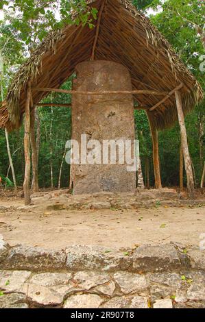 Stèle dans les ruines mayas de Coba, Caribe, Quintana Roo, Riviera Maya, Yucatan, Mexique Banque D'Images