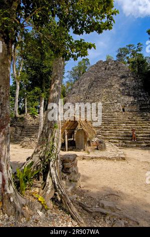 Stèle, devant les ruines mayas de Coba, Caribe, Quintana Roo, Riviera Maya, Yucatan, Mexique Banque D'Images