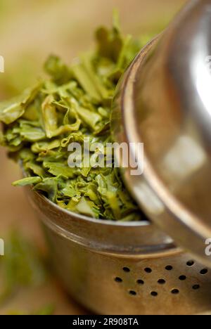 Oeuf de thé avec feuilles de thé vert, oeuf de thé, feuilles de thé, thé vert Banque D'Images