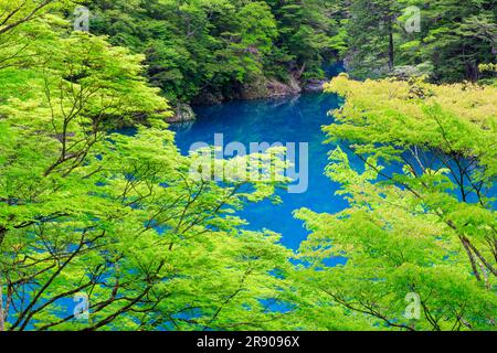 Sunmatakyo gorge en vert frais Banque D'Images