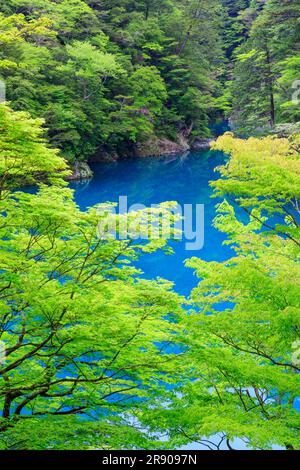 Sunmatakyo gorge en vert frais Banque D'Images