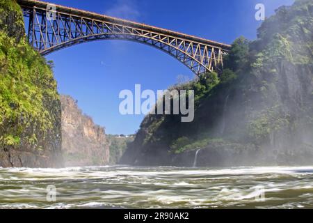 Dans le pot d'ébullition sur le Zambèze, près du Victoria F. Banque D'Images