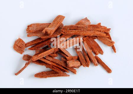 Pterocarpus santalinus (Pterocarpus santalinus), bois de santal, bois de potasse, bois d'encens, découpé, objet Banque D'Images