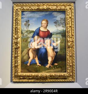 Florence, Italie - 20 novembre 2022 : la Madonna Del Cardellino (Madonna du Goldfinch) peinte par Raffael Banque D'Images