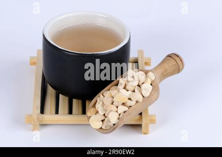 Tasse de thé de Tuber de pin (Pinelliae Rhizoma), Ban Xia Banque D'Images