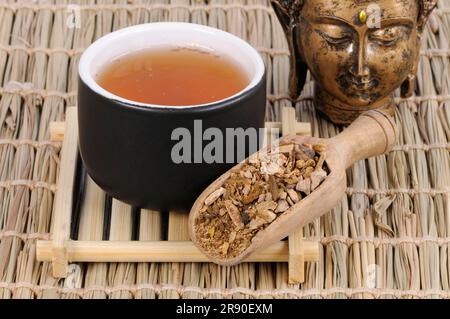 Tasse de thé à la racine de Rhubarb (Rhei Radix et Rhizoma), thé à la racine de Rhubarb, Da Huang Banque D'Images