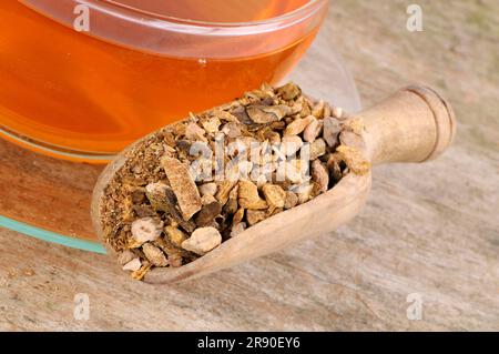 Tasse de thé à la racine de Rhubarb (Rhei Radix et Rhizoma), thé à la racine de Rhubarb, Da Huang Banque D'Images