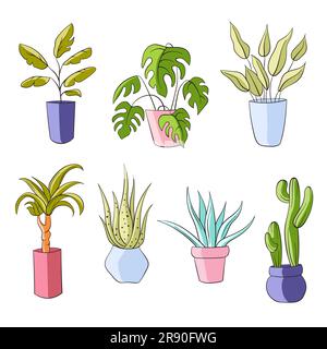 Collection de plantes de maison de ligne. Fleurs en pots. Ensemble vectoriel de plantes et de fleurs de maison de style plat isolé sur un fond blanc. Illustration de Vecteur