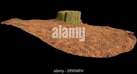 3d illustration d'une souche d'arbre sèche isolée sur fond noir Banque D'Images