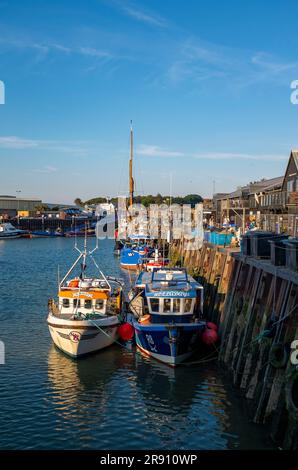 Whitstable North Kent , Angleterre Royaume-Uni - Whitstable port quai où ils sont célèbres pour leurs huîtres et poissons crédit Simon Dack Banque D'Images