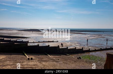 Whitstable North Kent , Angleterre Royaume-Uni - les célèbres lits d'huîtres à marée basse juste à côté de la plage Banque D'Images