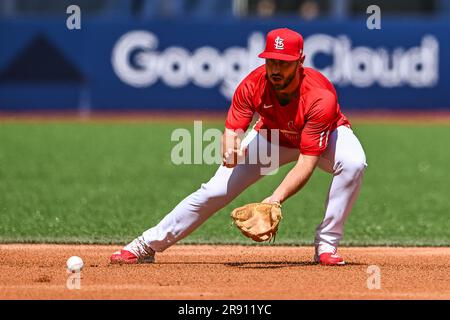 Paul DeJong #11 de la rue Louis Cardinals lors de l'entraînement de la série MLB de Londres 2023 pour St. Louis Cardinals et Chicago Cubs au London Stadium, Londres, Royaume-Uni, 23rd juin 2023 (photo de Craig Thomas/News Images) Banque D'Images