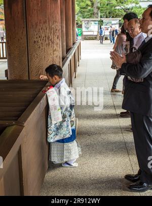 Taisha sortie en famille Banque D'Images