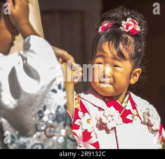 Taisha sortie en famille Banque D'Images