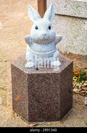 Quelque chose sur les lapins blancs Banque D'Images