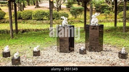 Quelque chose sur les lapins blancs Banque D'Images