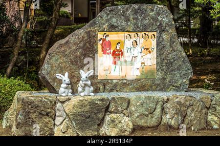 Quelque chose sur les lapins blancs Banque D'Images