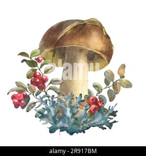 Champignons boletus de forêt avec de l'herbe, de la mousse et des baies de lingonis. Illustration aquarelle, dessinée à la main, isolée sur fond blanc. Banque D'Images