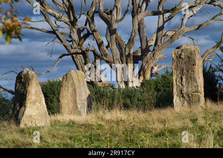 New Modern Stone Circle of Purbeck Stone, créé en 2012, Holton Lee, Angleterre, Royaume-Uni Banque D'Images