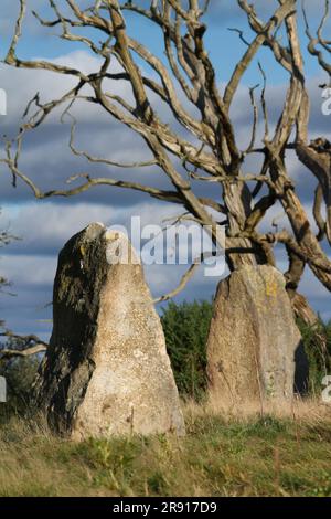 New Modern Stone Circle of Purbeck Stone, créé en 2012, Holton Lee, Angleterre, Royaume-Uni Banque D'Images