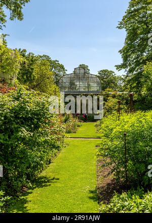 Beauté naturelle du jardin botanique d'Oxford en été. Banque D'Images